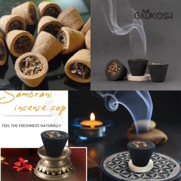 best cow dung products by gaukosh