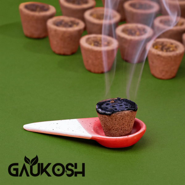Gaukosh Sambrani Cup